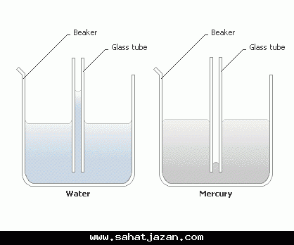يرتفع الماء في الأنبوب ذو القطر الكبير أكثر منه في الأنبوب الضيق